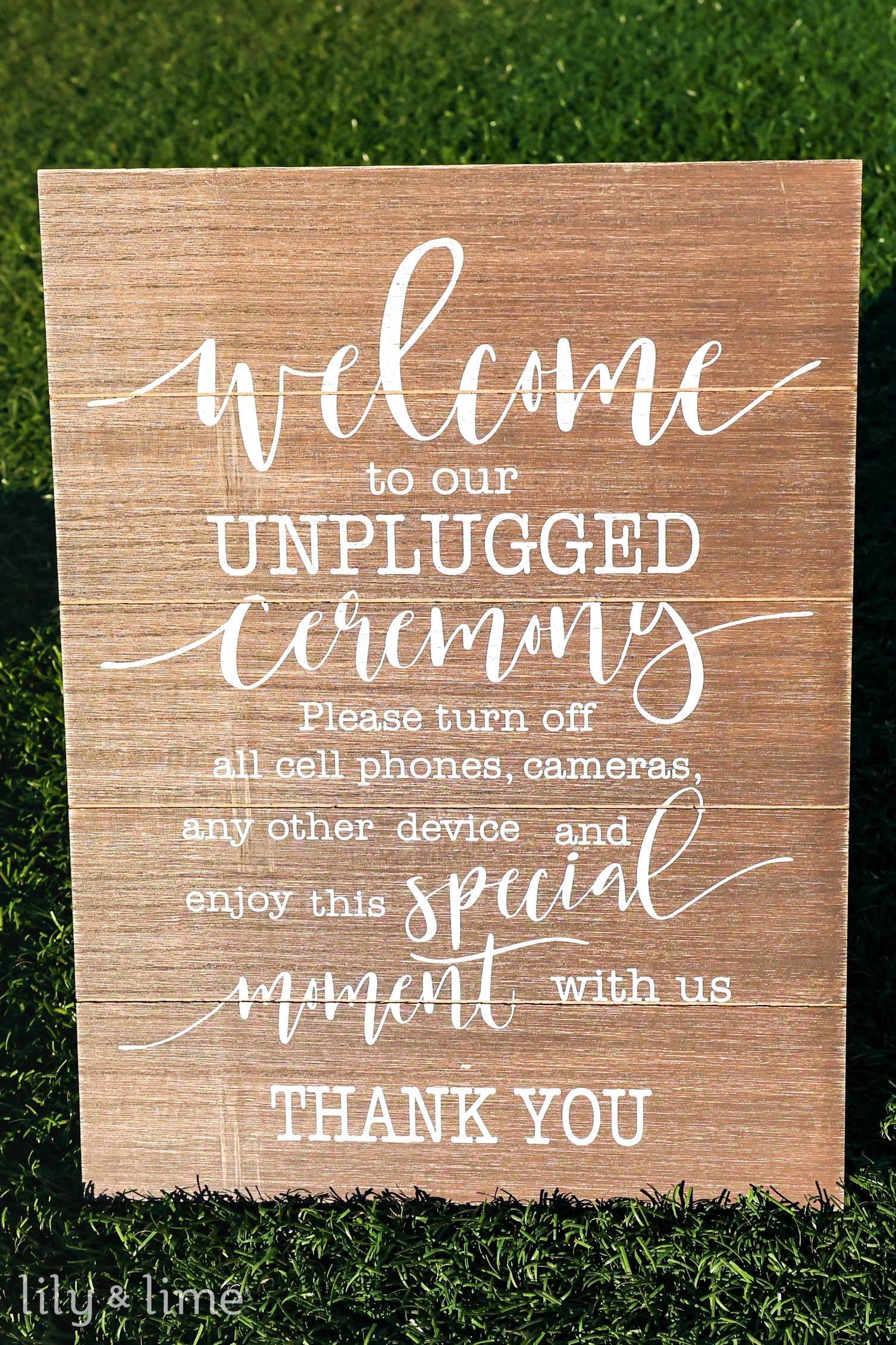 Blog Post image 2