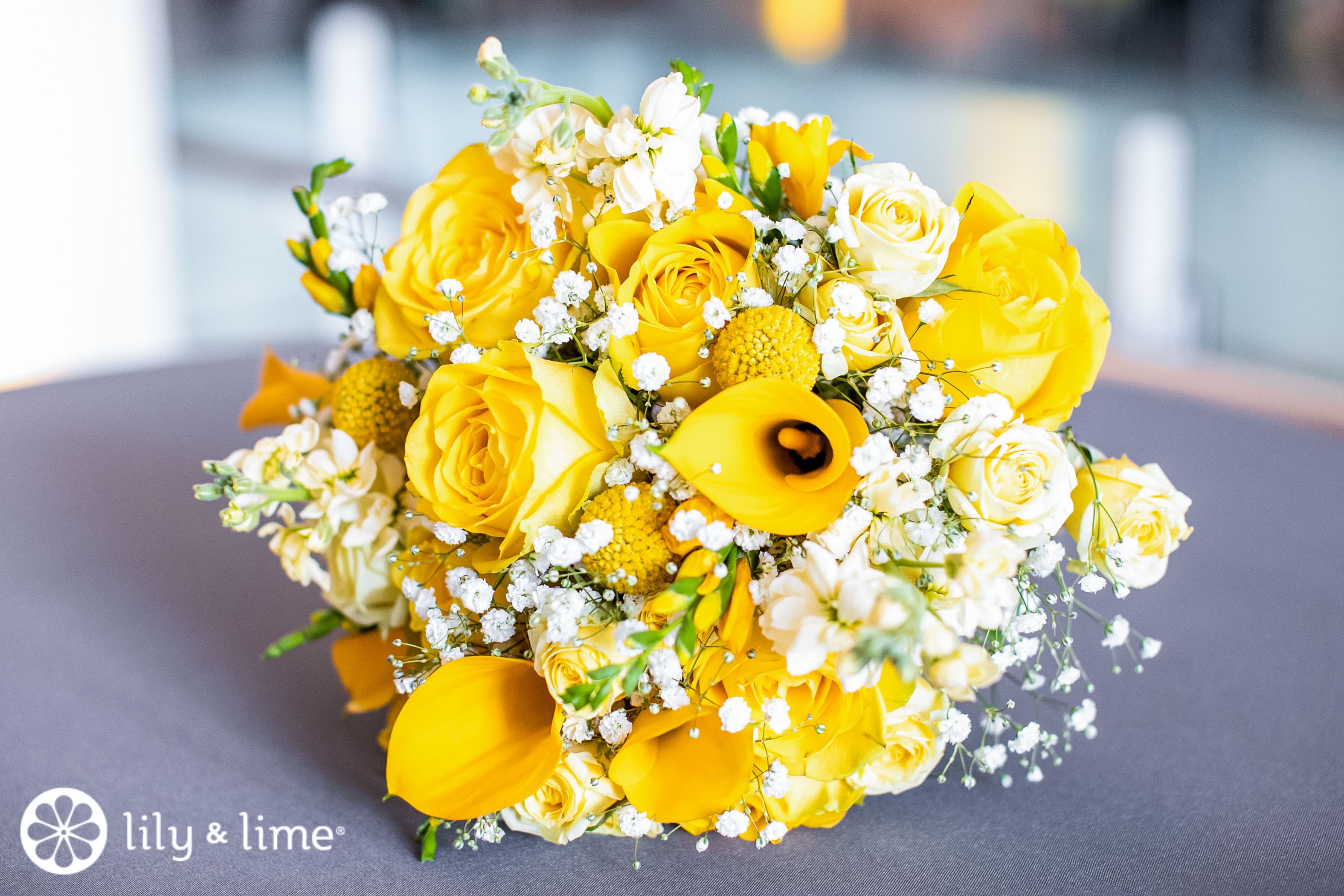 Color Collection Sunflower Yellow Lily Lime