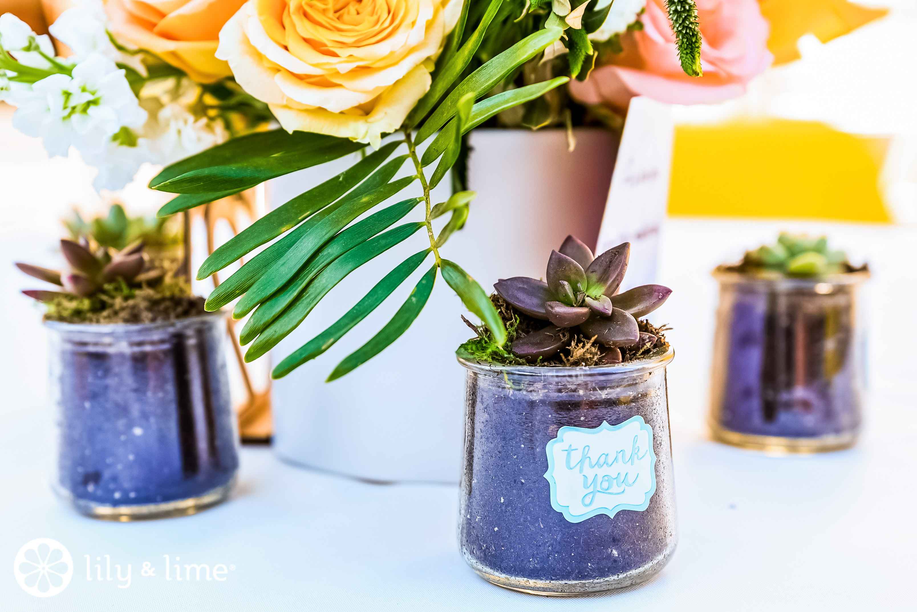 Amazing Ways to Use Potted Plants in Your Wedding Decor Lily & Lime