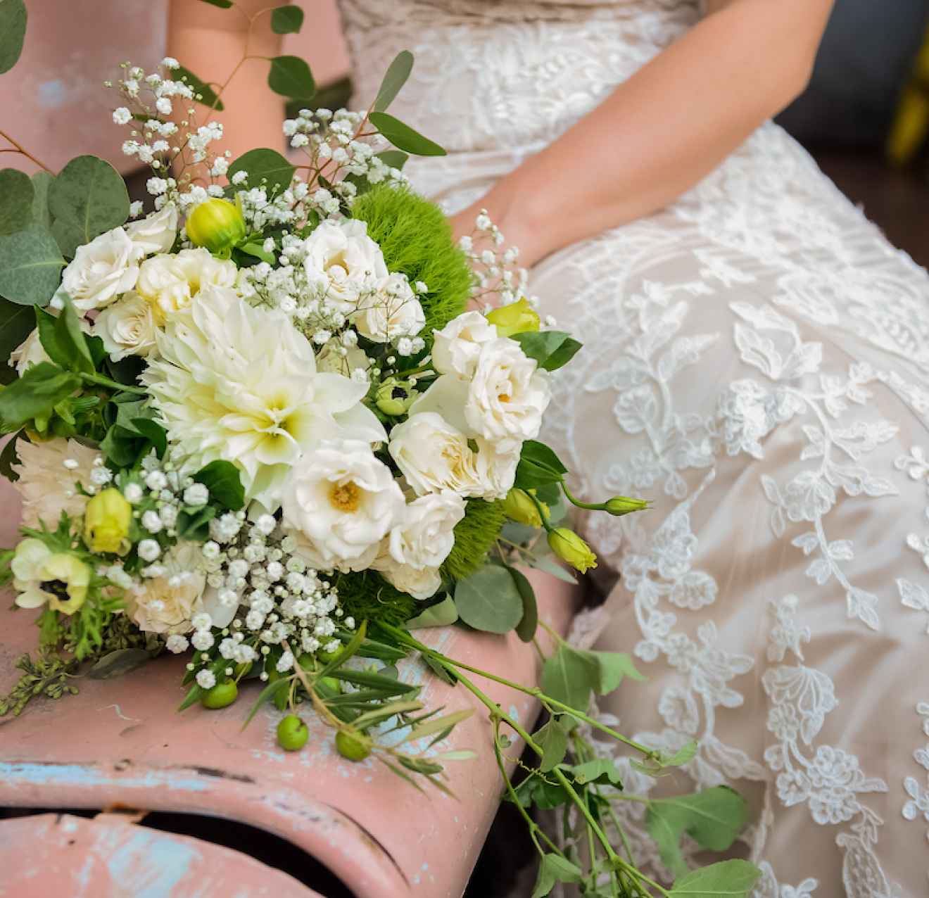 Affordable Wedding Photography And Family Photoshoots Lily Lime