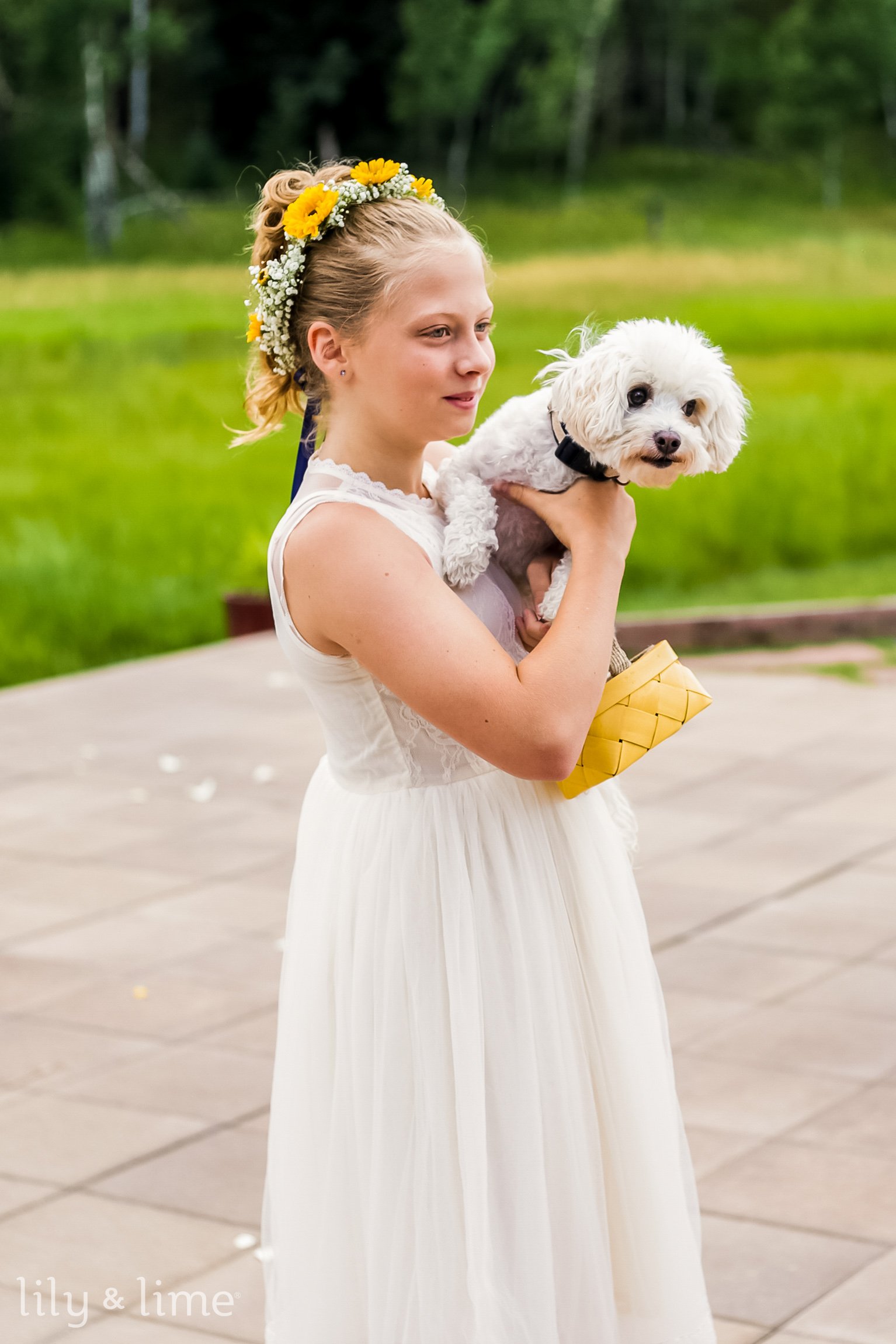 Dog flower girl dress cheap