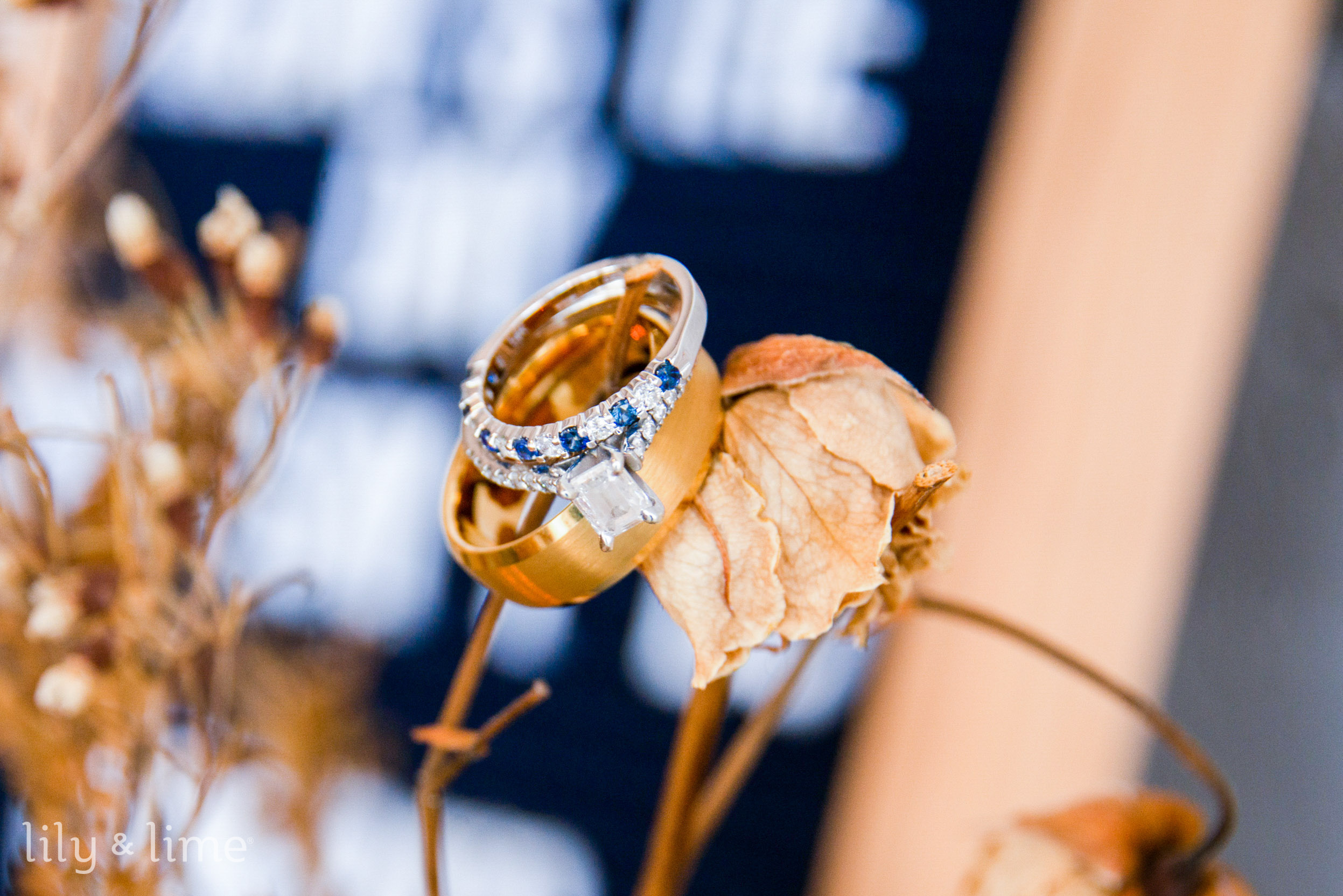 Diamond Engagement Ring Budget — Era Design