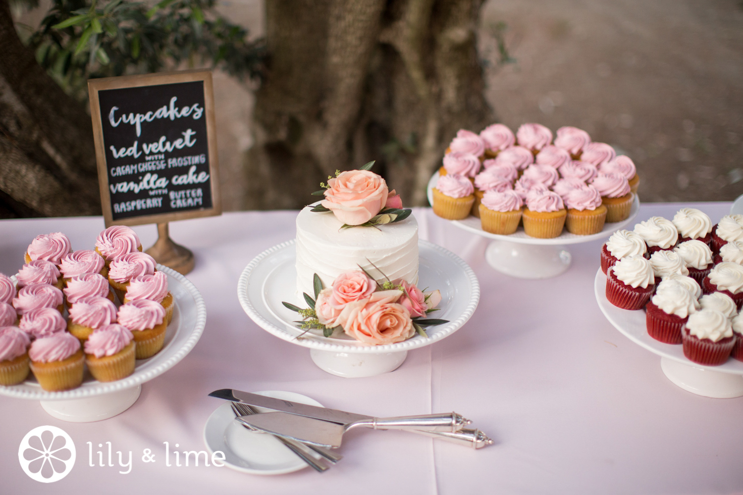 wedding cutting cake and cupcakes