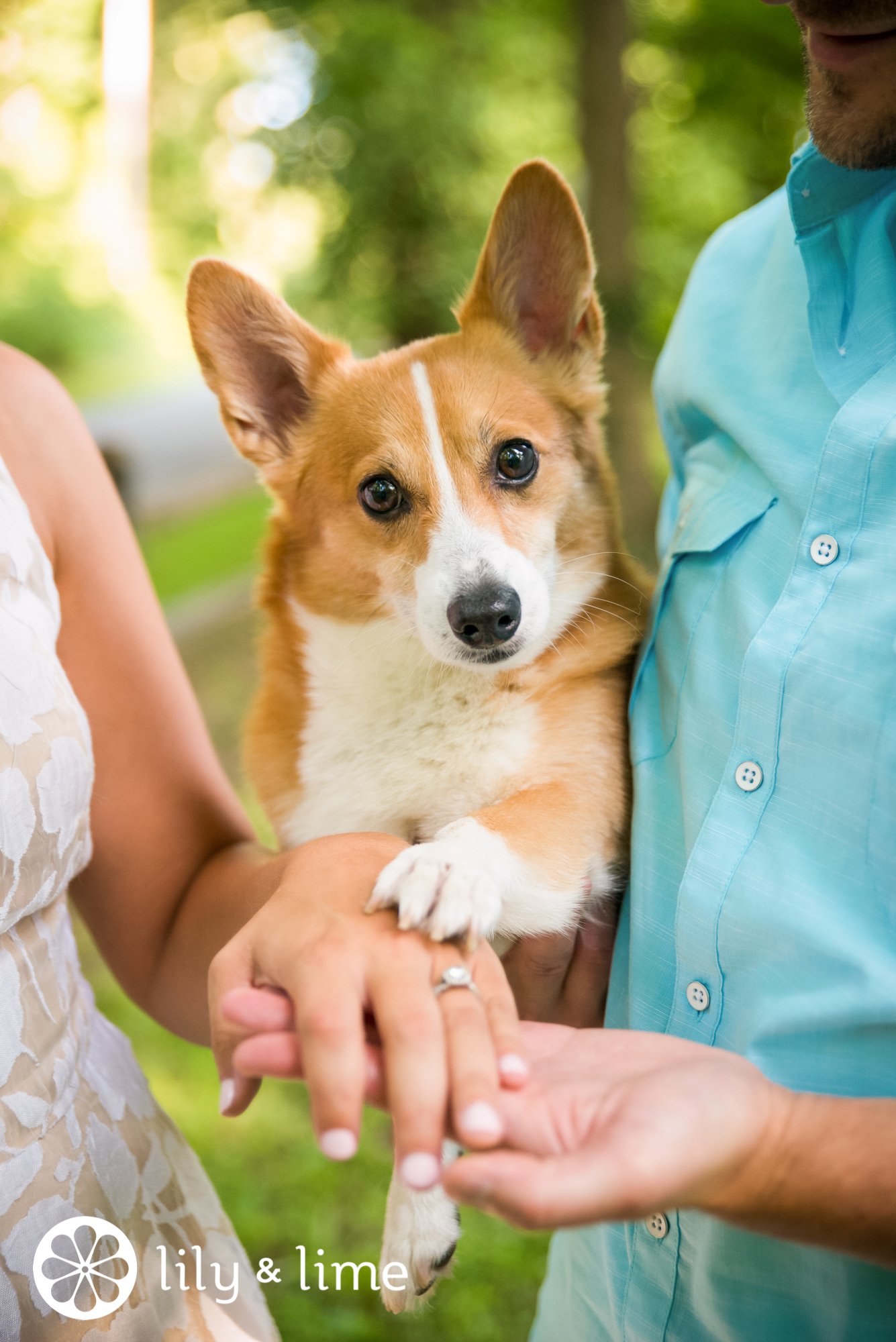 dogs in engagement photo inspiration