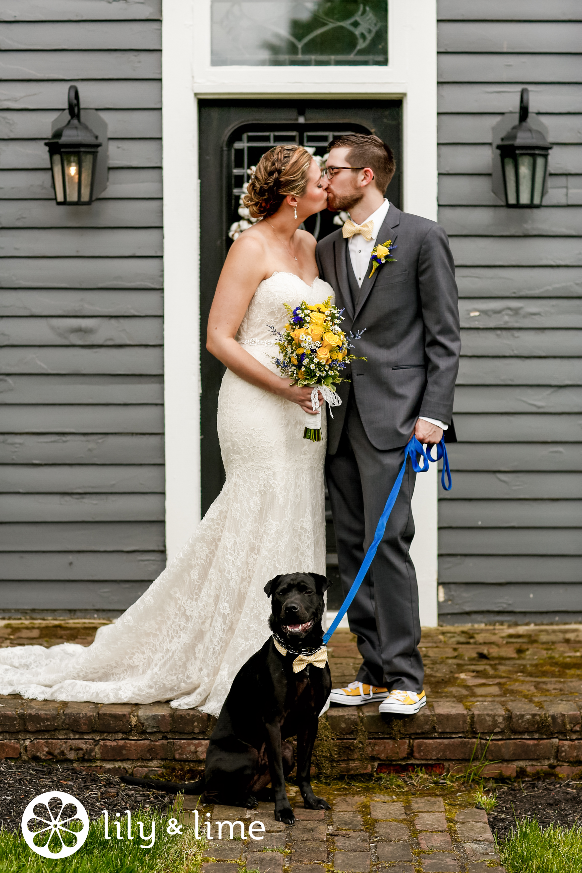 dog in wedding bowtie photos