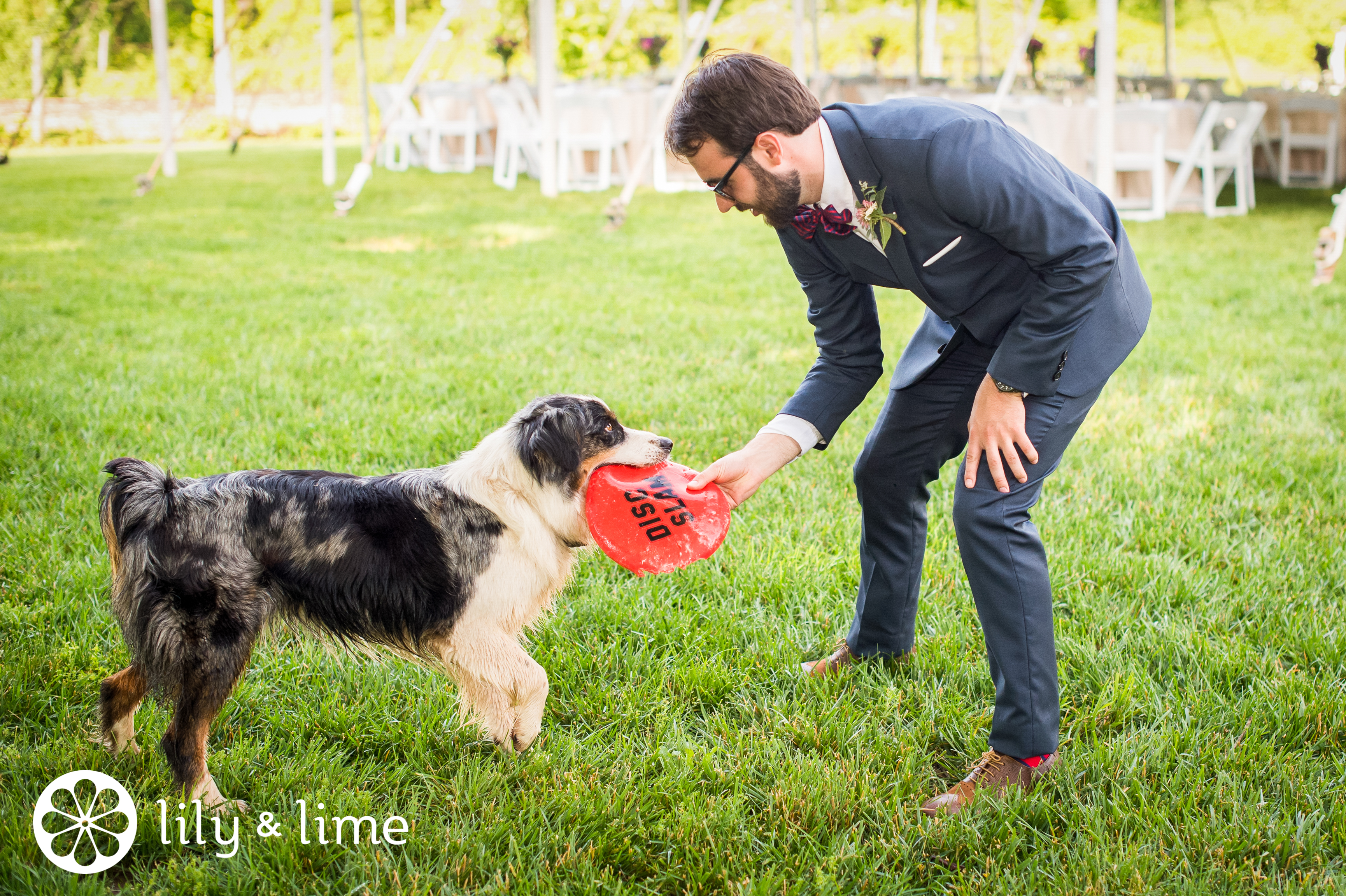 groom with dog wedding photos