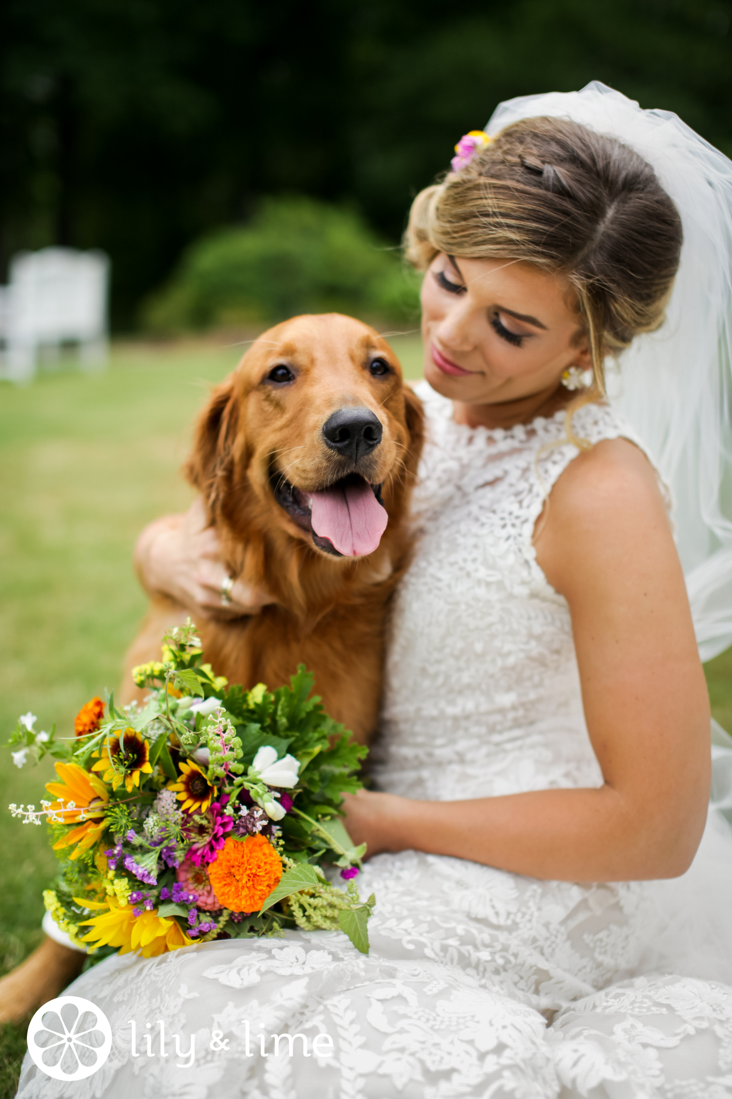 dogs in candid wedding photos