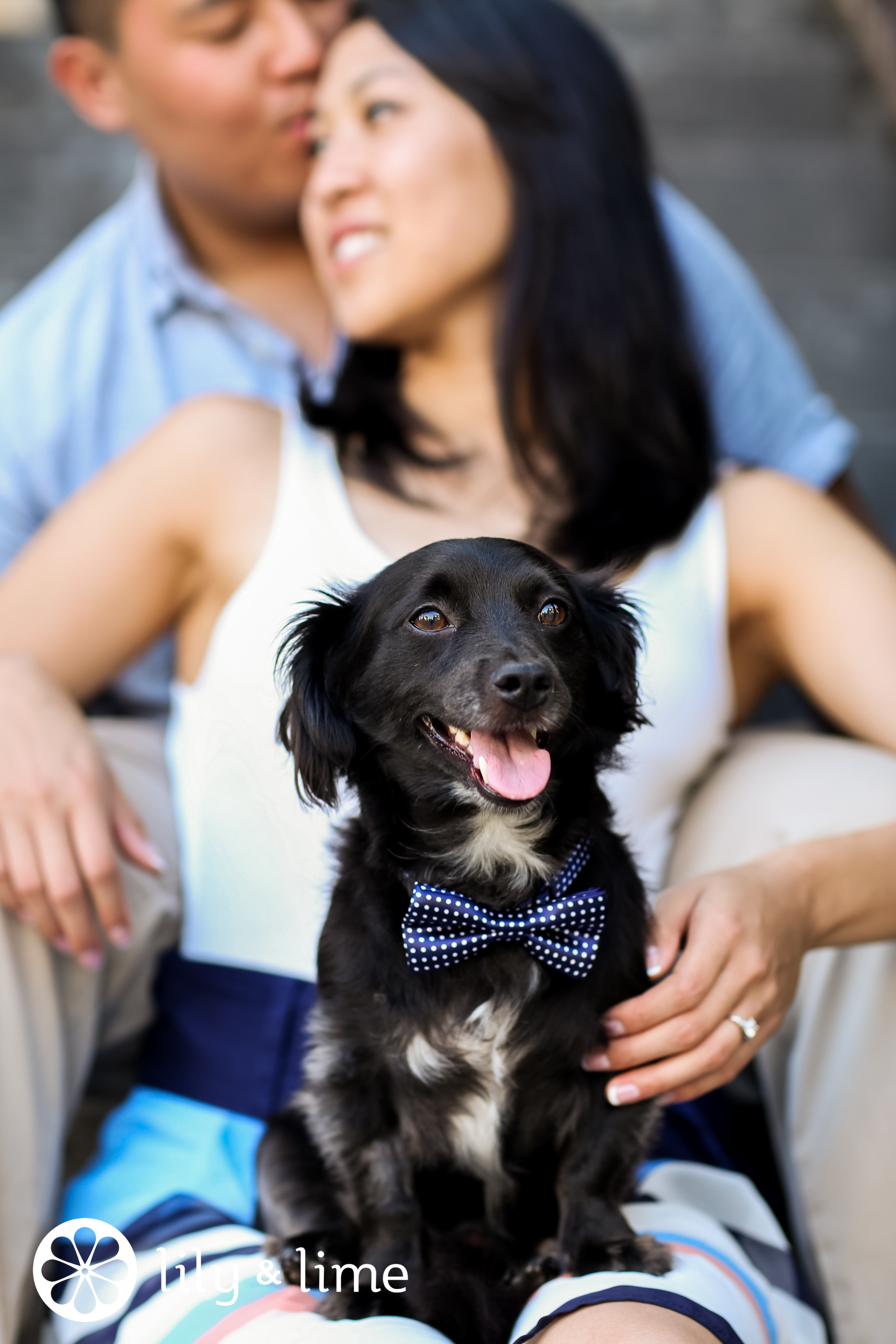 dog in engagement session ideas