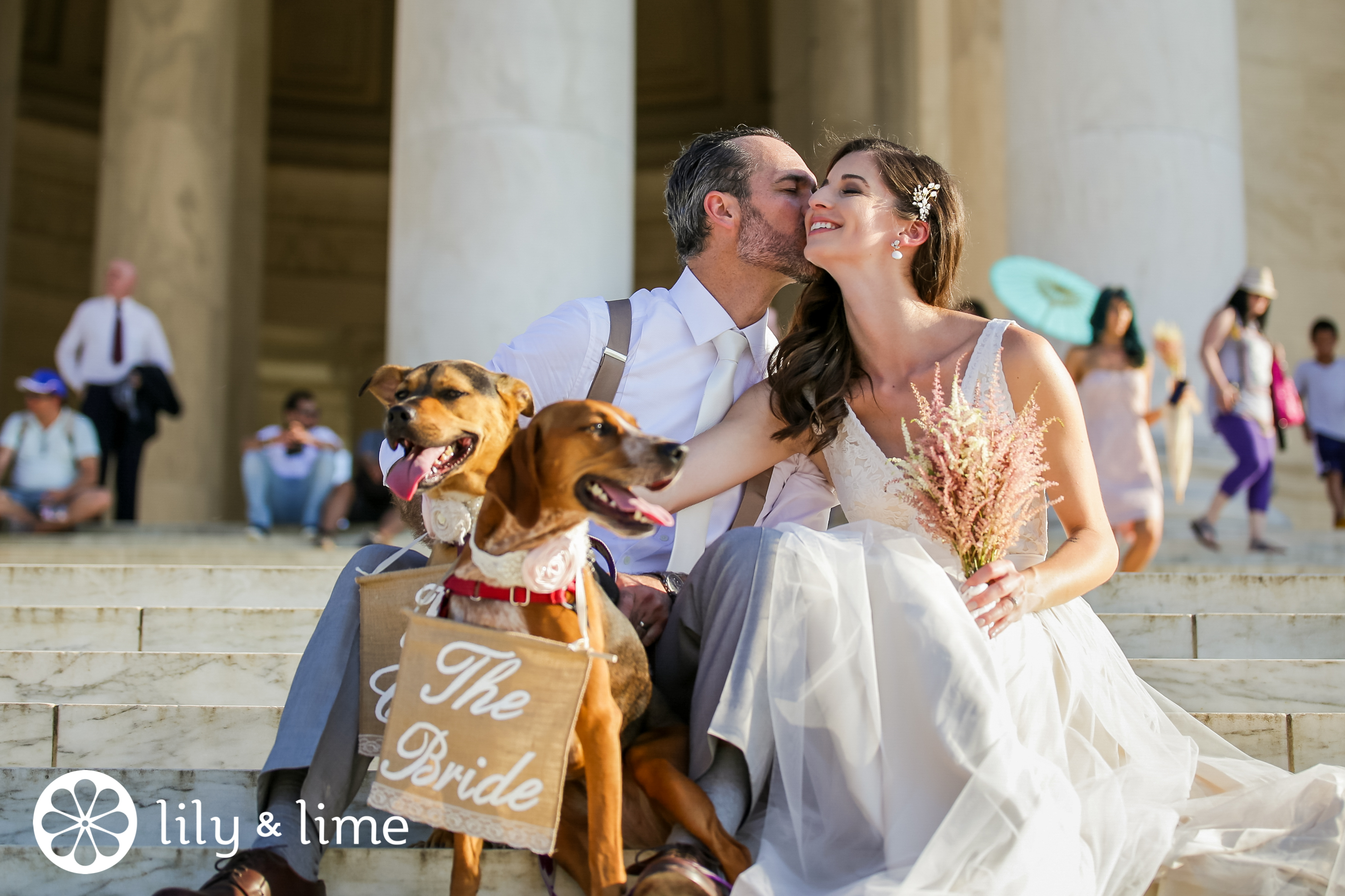 dog with sign in wedding photos