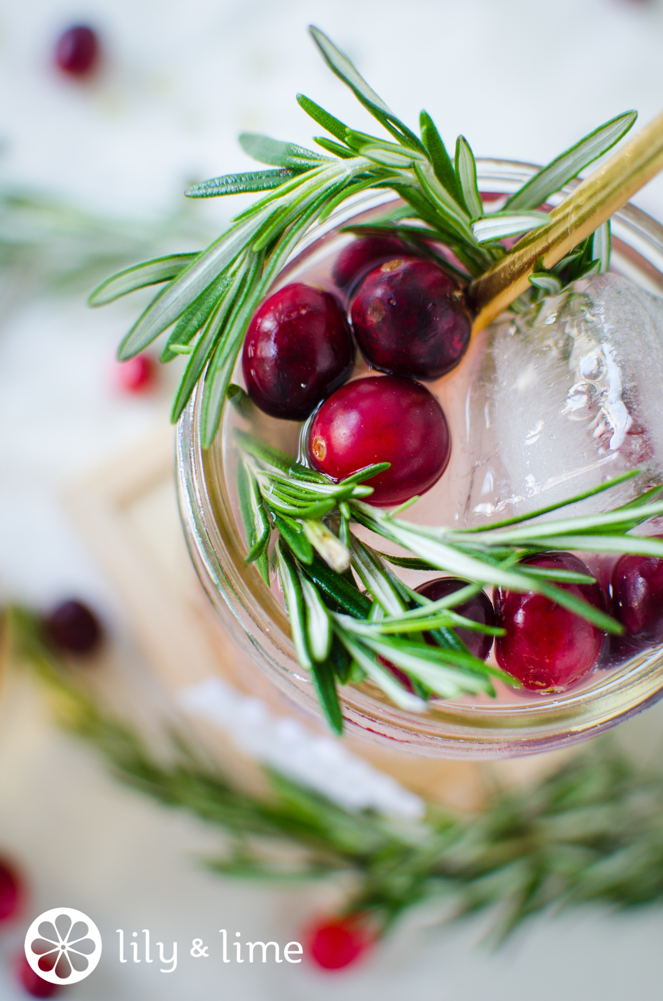 winter holiday cocktail ideas