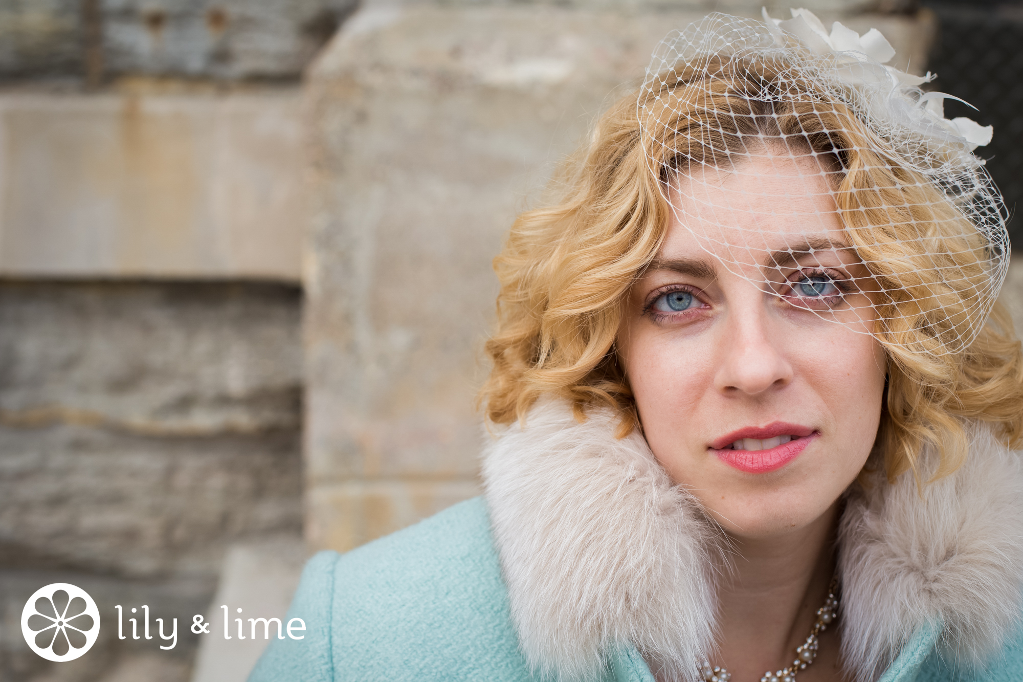 birdcage veil