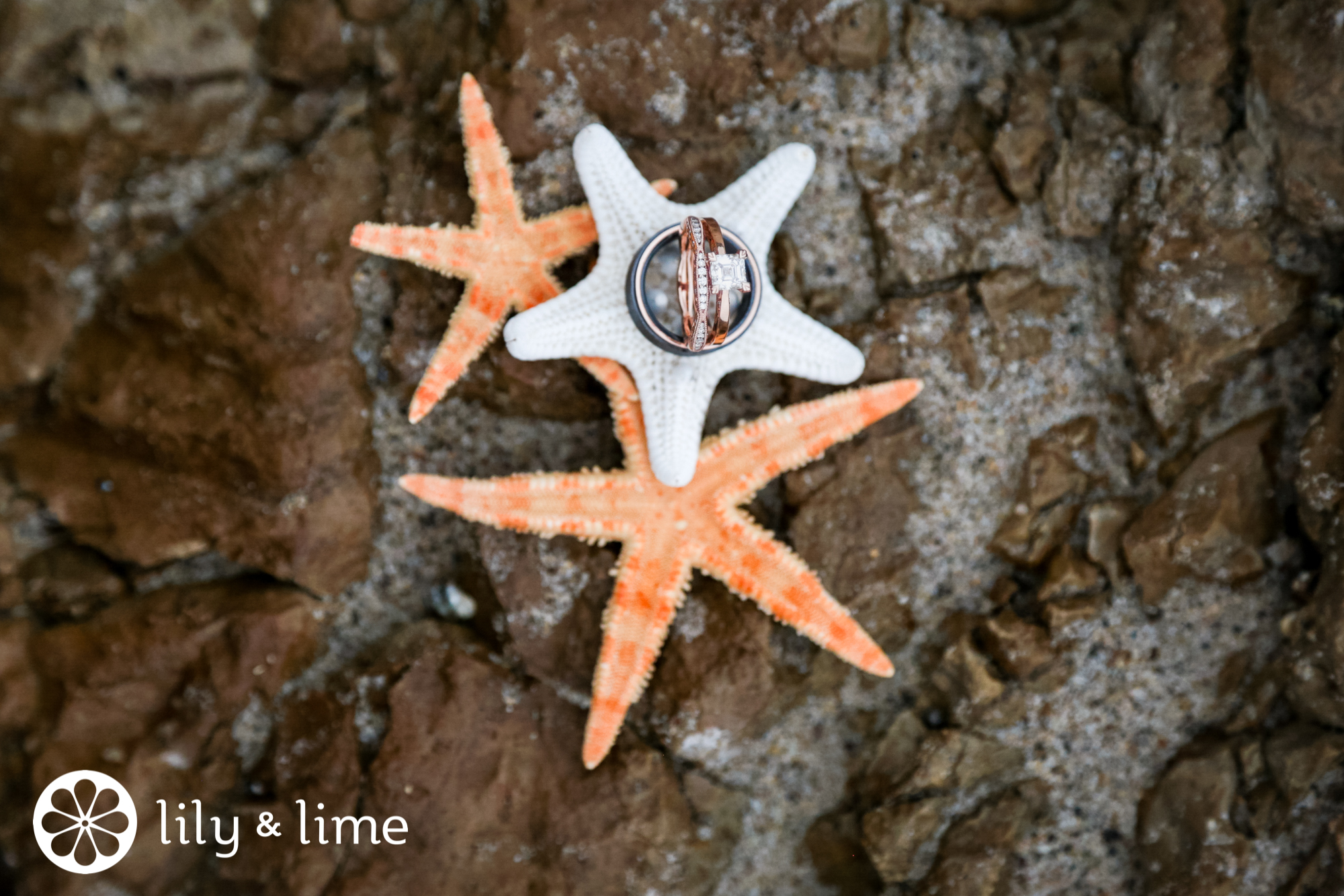 beach wedding detail photos