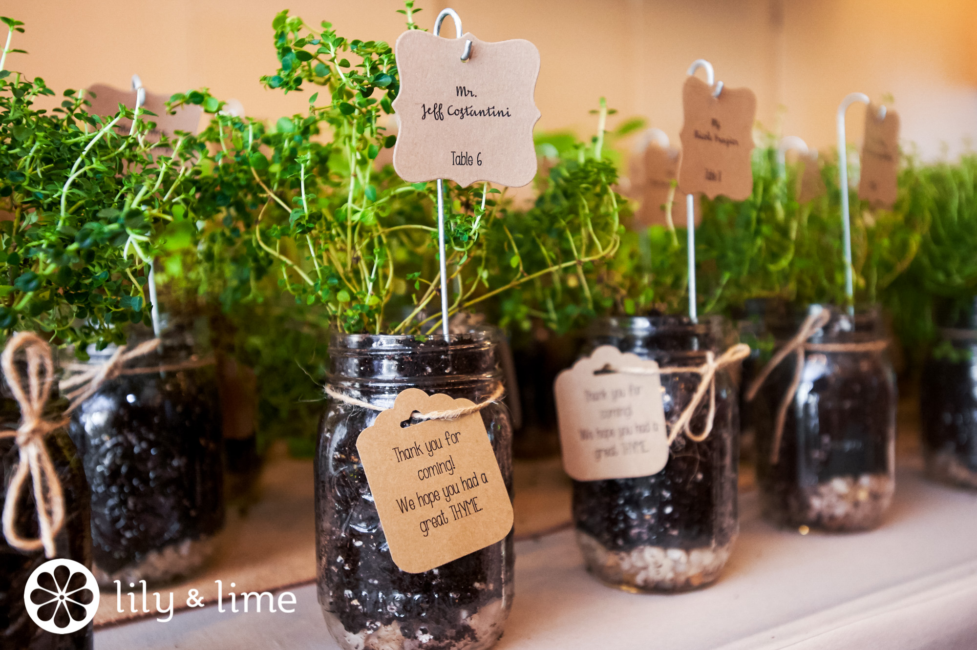 green herb wedding favors mason jars