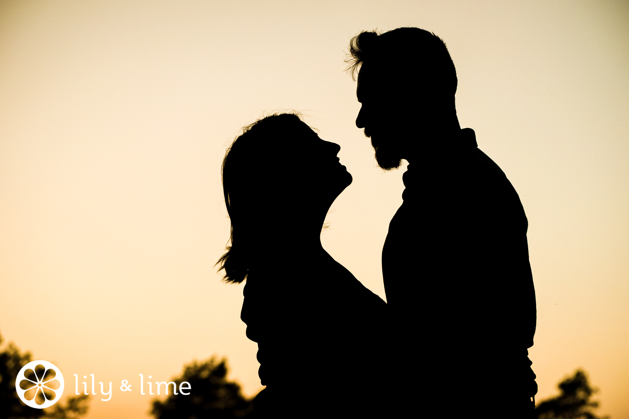 romantic silhouette photo