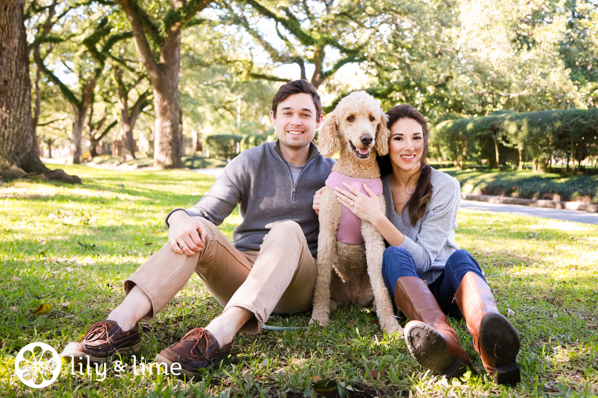 dog in engagement photos