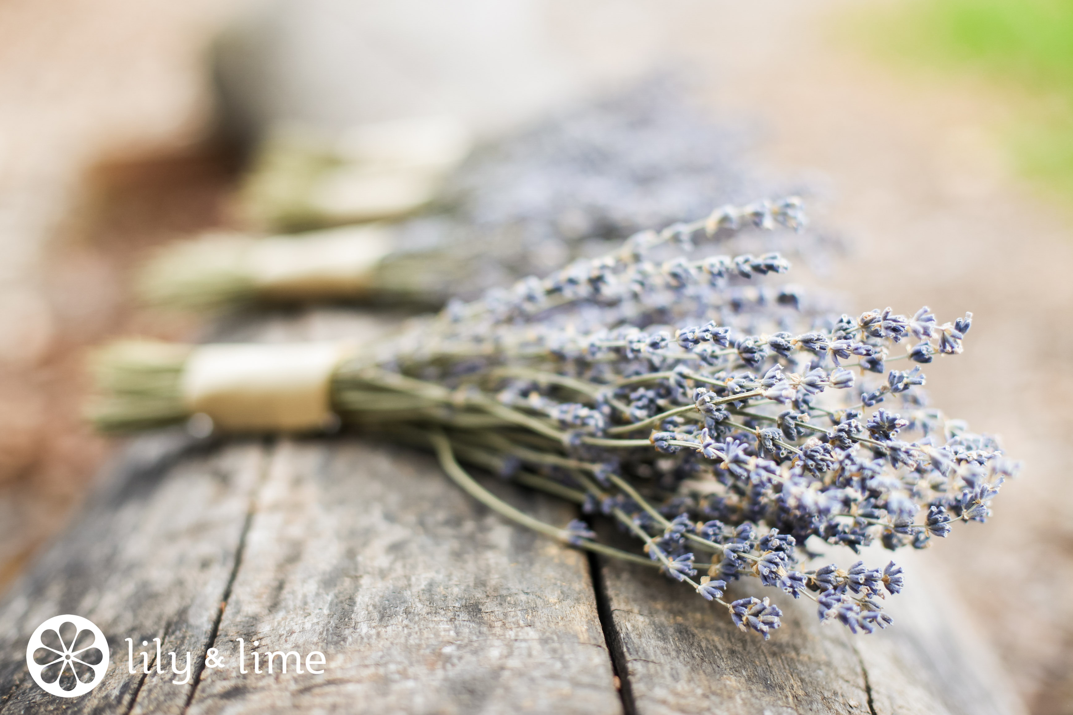 lavender wedding bouquet