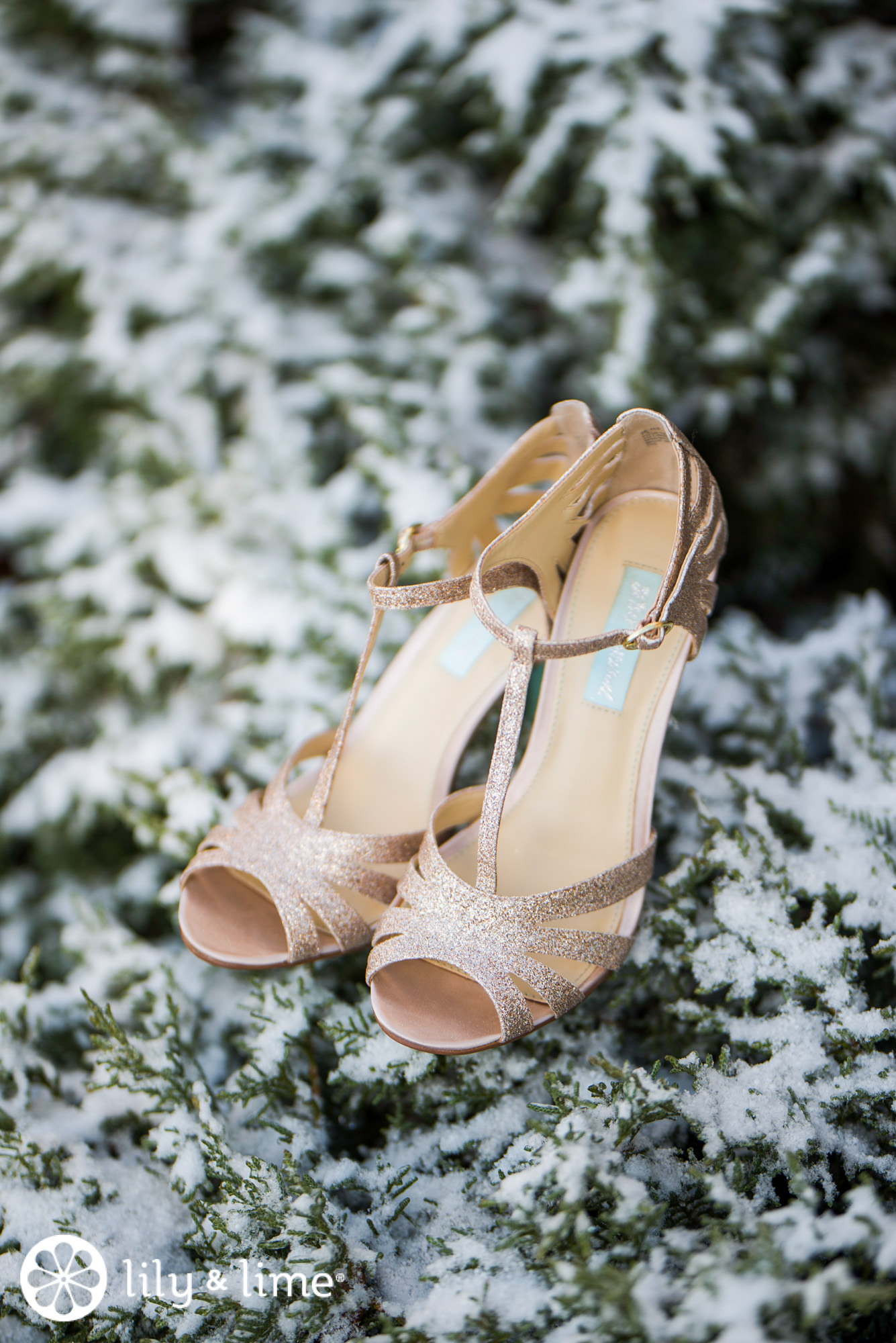 Andrea and Kellen’s Snow-Dusted Charlotte Wedding | Lily & Lime